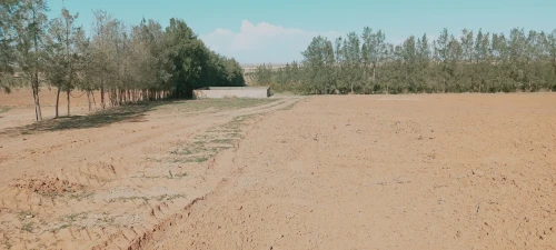 Vente Terrain Agricole Djelfa Ain oussara