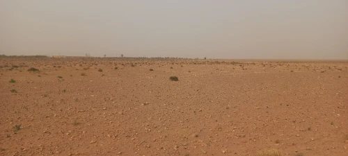 Vente Terrain Agricole Djelfa Messad