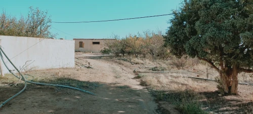 Vente Terrain Agricole Djelfa Djelfa