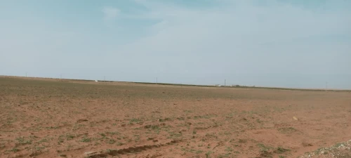 Vente Terrain Agricole Djelfa Ain oussara