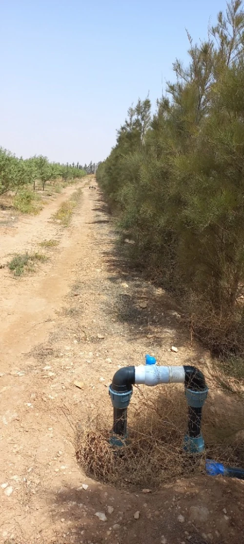 Vente Terrain Agricole Djelfa Ain oussara