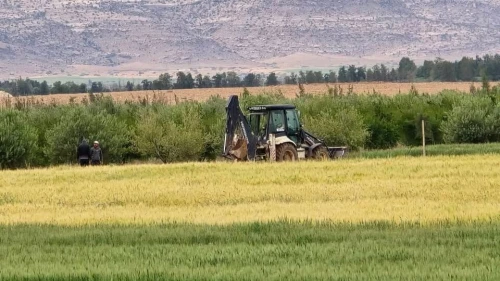 Vente Terrain Agricole Djelfa Bouira lahdab