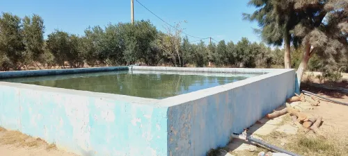 Vente Terrain Agricole Djelfa Djelfa