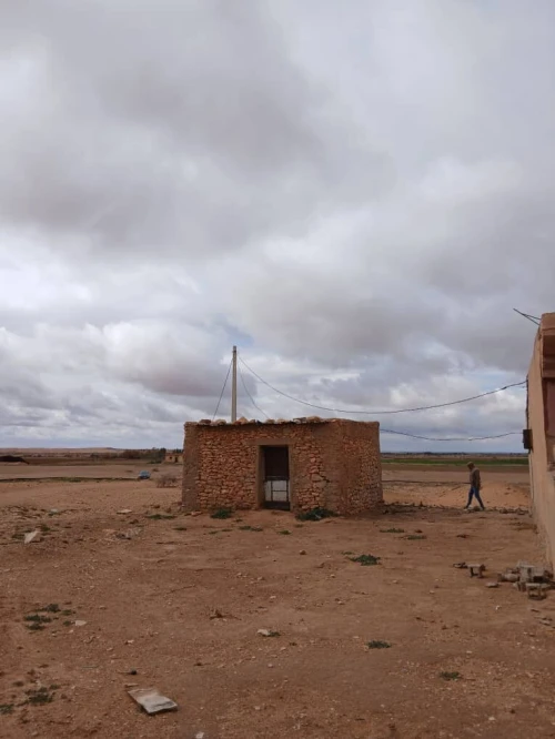 Vente Terrain Agricole Djelfa Had sahary