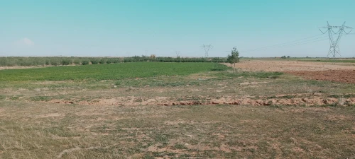 Vente Terrain Agricole Djelfa Ain oussara