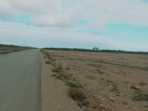 Vente Terrain Agricole Djelfa Ain oussara