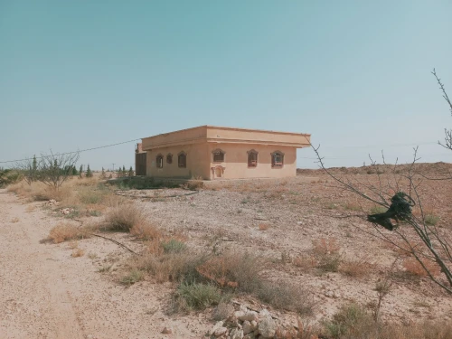 Vente Terrain Agricole Djelfa Ain oussara
