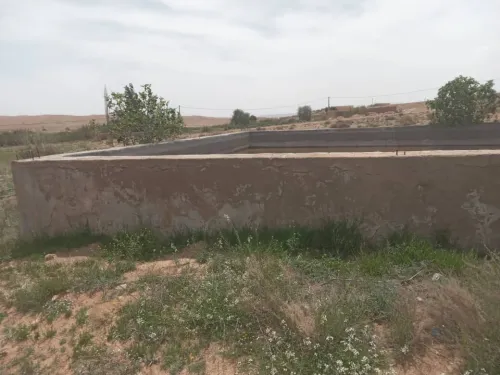 Vente Terrain Agricole Djelfa Djelfa
