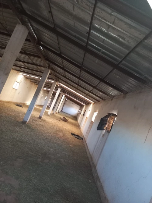 Vente Terrain Agricole Djelfa Djelfa