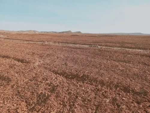 Vente Terrain Agricole Djelfa Djelfa
