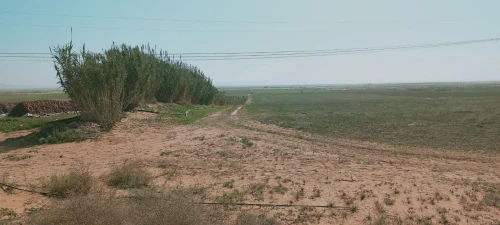Vente Terrain Agricole Djelfa Ain oussara