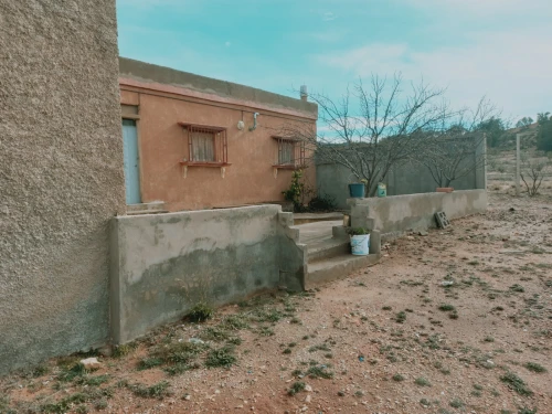 Vente Terrain Agricole Djelfa Djelfa