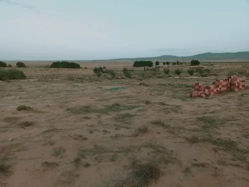 Vente Terrain Agricole Djelfa Djelfa