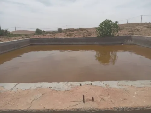 Vente Terrain Agricole Djelfa Djelfa