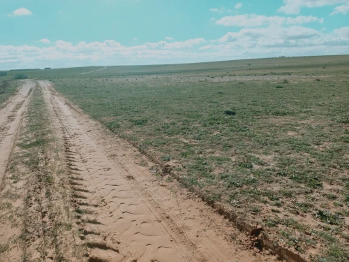 Vente Terrain Agricole Djelfa Birine
