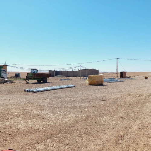 Vente Terrain Agricole Djelfa Benhar