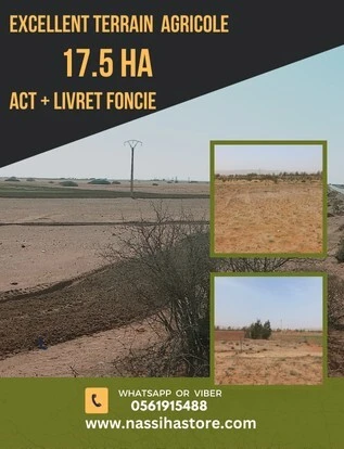 Vente Terrain Agricole Djelfa Djelfa
