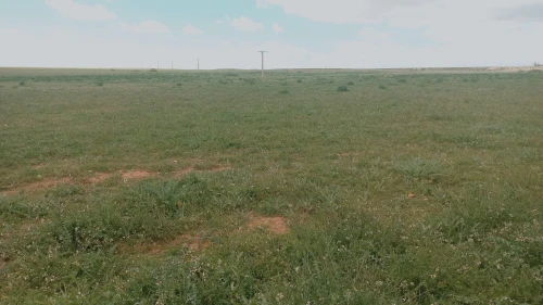 Vente Terrain Agricole Djelfa Birine