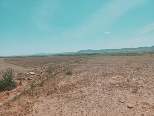 Vente Terrain Agricole Djelfa Bouira lahdab