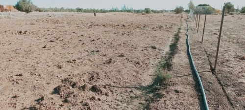 Vente Terrain Agricole Djelfa Djelfa