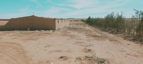 Vente Terrain Agricole Djelfa Birine