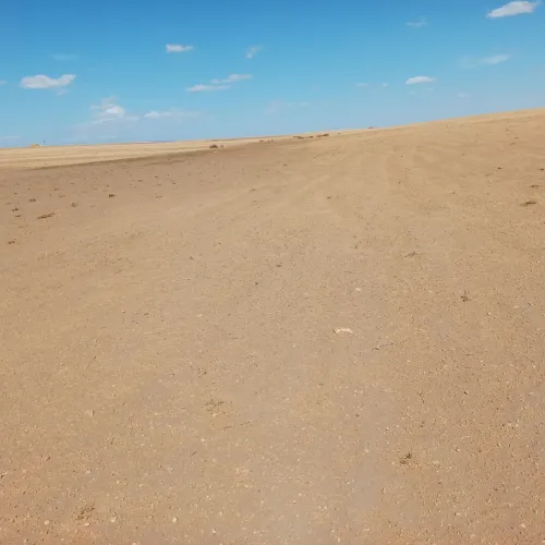 Vente Terrain Agricole Djelfa Birine