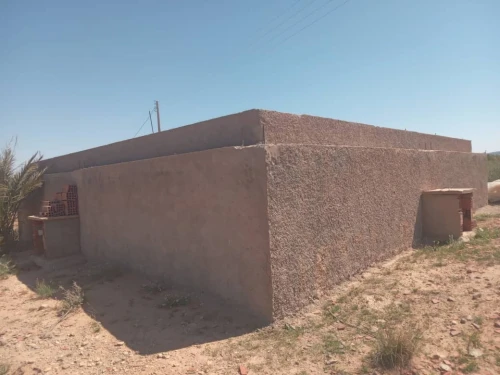 Vente Terrain Agricole Djelfa Djelfa