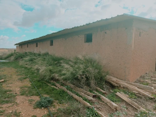 Vente Terrain Agricole Djelfa Ain oussara