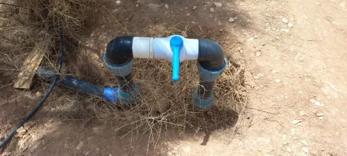 Vente Terrain Agricole Djelfa Ain oussara
