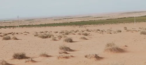 Vente Terrain Agricole Djelfa Ain oussara