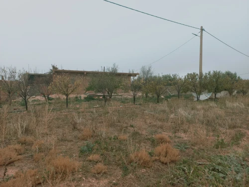 Vente Terrain Agricole Djelfa Djelfa