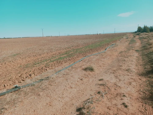 Vente Terrain Agricole Djelfa Djelfa