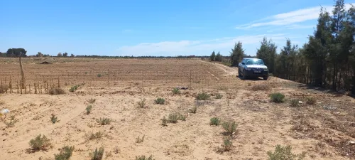 Vente Terrain Agricole Djelfa Zaafrane