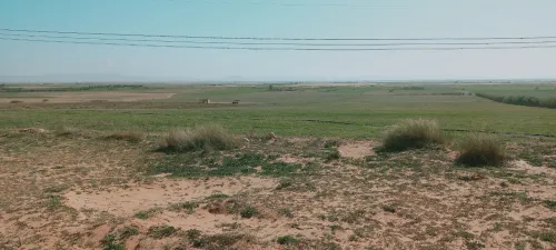Vente Terrain Agricole Djelfa Ain oussara