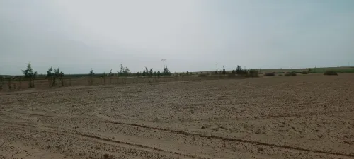 Vente Terrain Agricole Djelfa Ain oussara