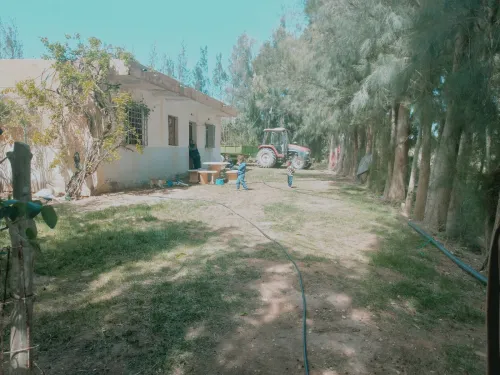 Vente Terrain Agricole Djelfa Djelfa