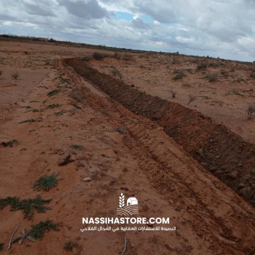 Vente Terrain Agricole Djelfa Had sahary