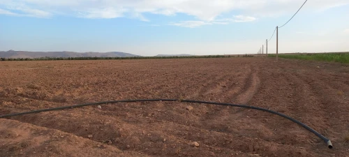 Vente Terrain Agricole Djelfa Had sahary