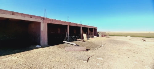 Vente Terrain Agricole Djelfa Ain oussara