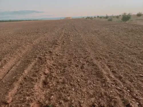 Vente Terrain Agricole Djelfa Hassi bahbah
