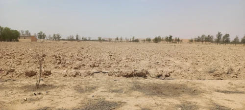 Vente Terrain Agricole Djelfa Ain oussara