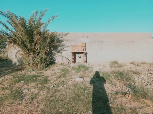 Vente Terrain Agricole Djelfa Djelfa