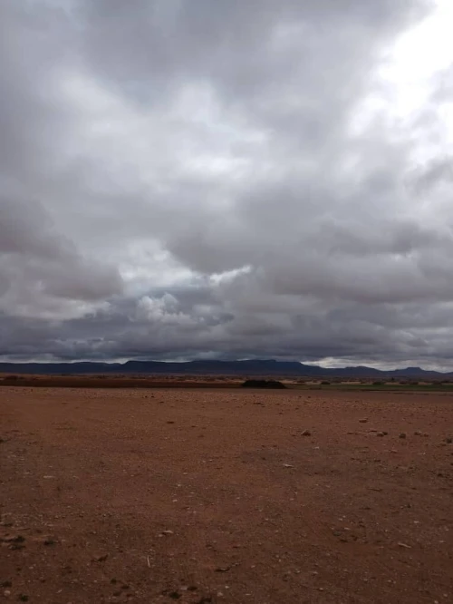 Vente Terrain Agricole Djelfa Had sahary