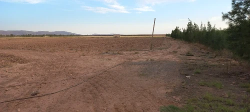 Vente Terrain Agricole Djelfa Had sahary