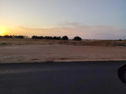 Vente Terrain Agricole Djelfa Zaafrane