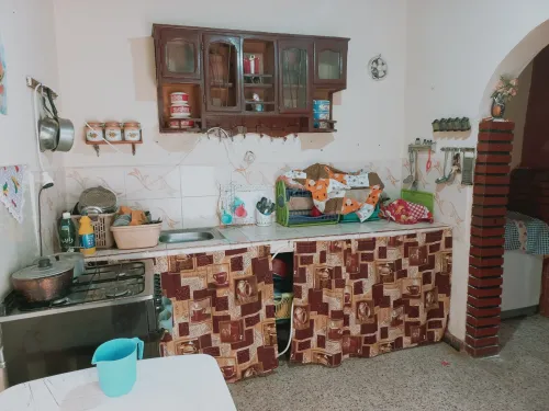 Vente Terrain Agricole Djelfa Dar chioukh