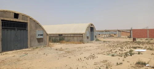 Vente Terrain Agricole Djelfa Ain oussara