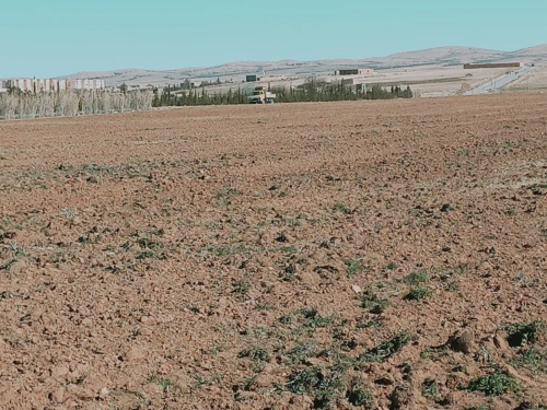 Vente Terrain Agricole Djelfa Dar chioukh