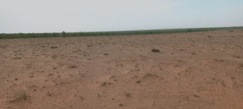Vente Terrain Agricole Djelfa Ain oussara