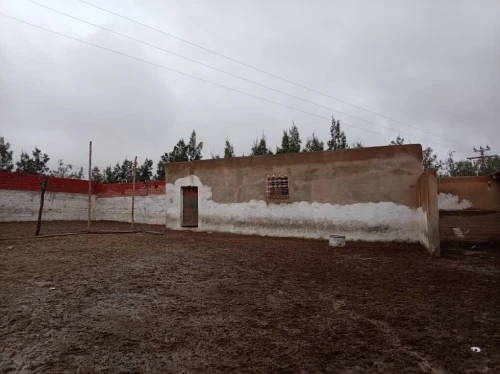 Vente Terrain Agricole Djelfa Djelfa